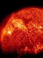 Dark Star Survivor