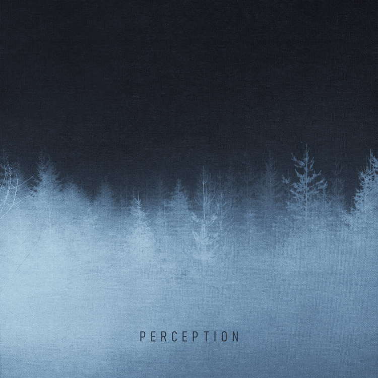 I Can Improve Perception