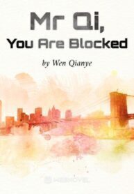 Mr Qi You Are Blocked
