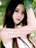 Mysterious Husbandperfect Wife
