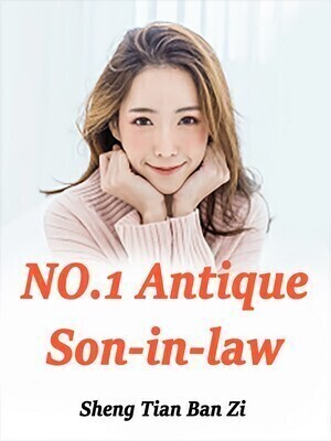 NO.1 Antique Son-in-law