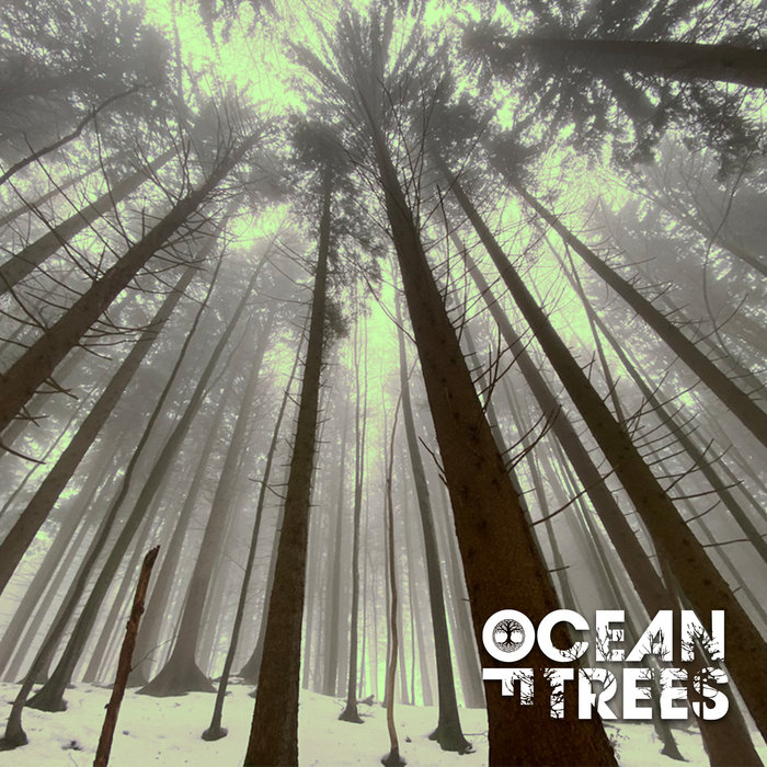 Ocean Of Trees