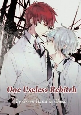 One Useless Rebirth
