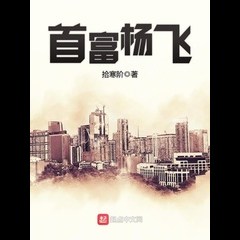 The Richest Man Yang Fei