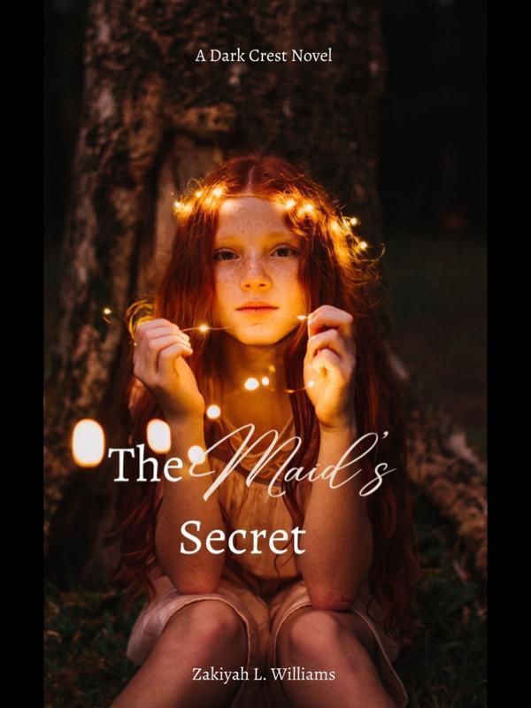 The Secret Mage