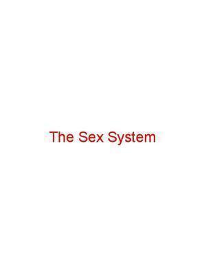 The Shovel System