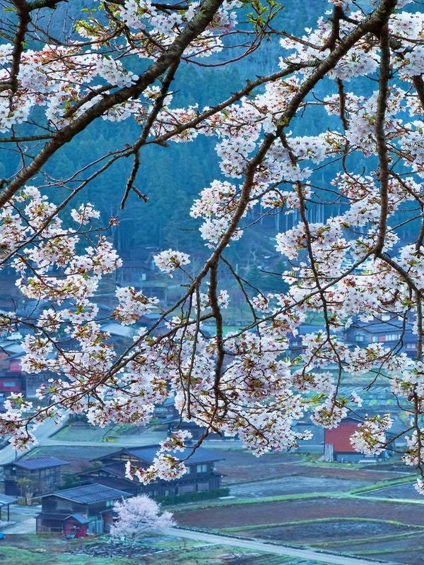 Then Comes Spring When Winter Ends