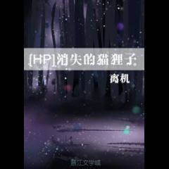 [HP] Disappearing Cat Raccoon