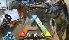 Ark