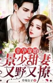 Blessed Marriage and Pregnancy: Young Master Jing’s Wife Is Wild and Flirty
