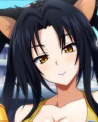 Highschool DxD: A New Opportunity