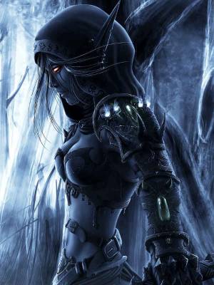 Necromancer of The Shadows