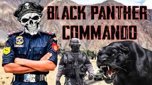Panther Commando
