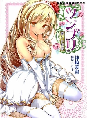 TSUNPRI: AISHITE OHIMESAMA