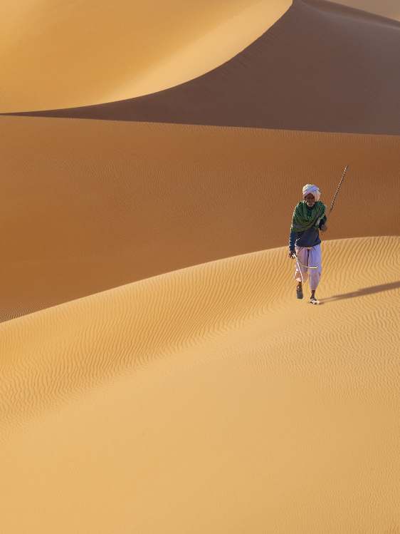 الجنقو مسامير الأرض