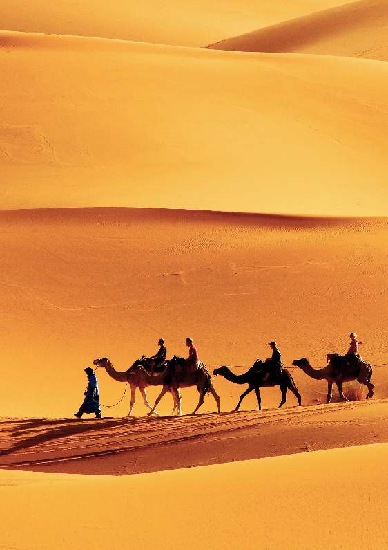 الرحَّالة المسلمون في العصور الوسطى