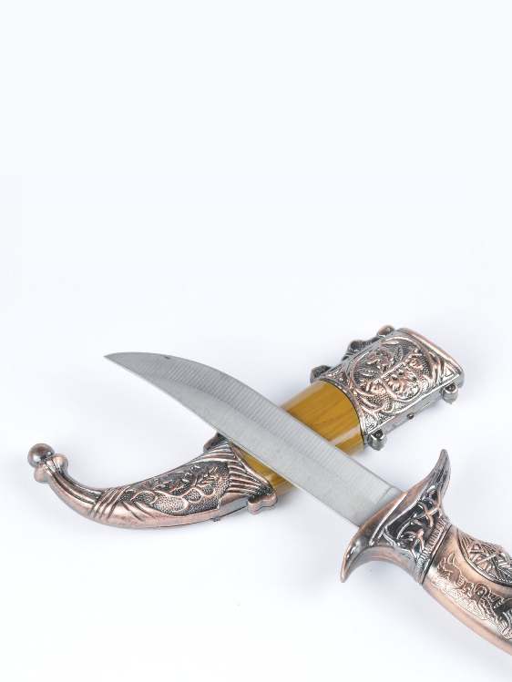 الشاردة
