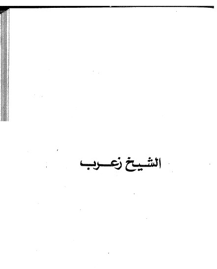 الشيخ زعرب وآخرون