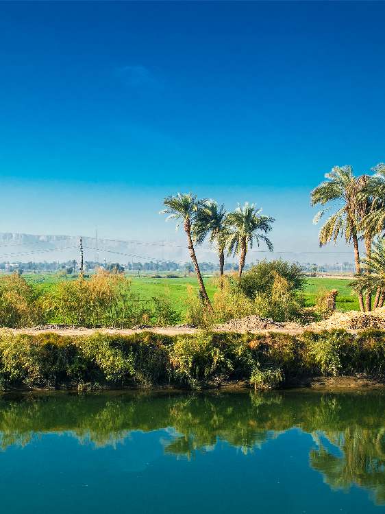 بسمارك: حياة مكافح