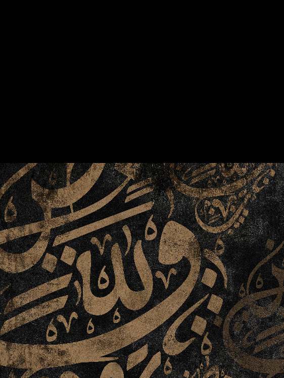 تاريخ علوم اللغة العربية