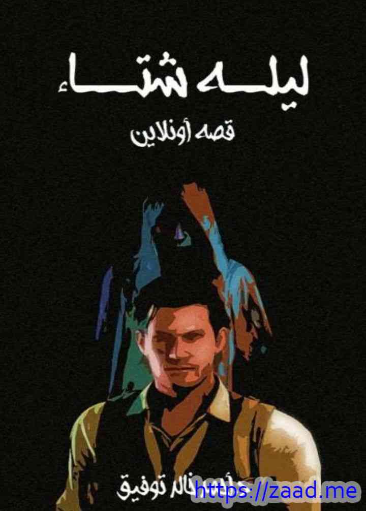 ليلة شتاء