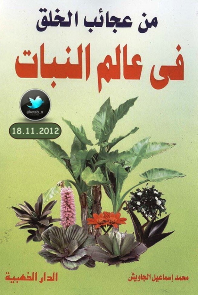 من عجائب الخلق في عالم النبات