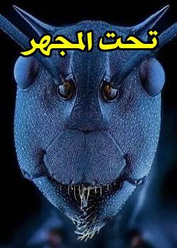 رواية تحت المجهر