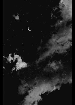 رواية ن ي ص غ