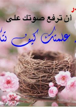 رواية البر بالوالدين