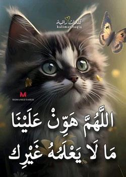 رواية المرساة