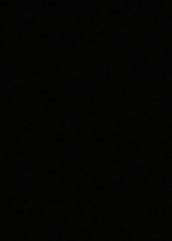 رواية ٨٤