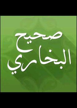 رواية الصحيحن