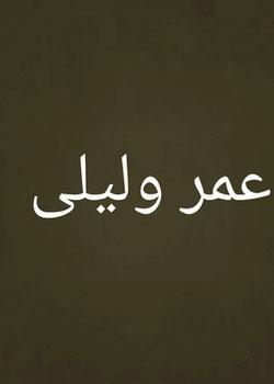رواية عمر وليلى