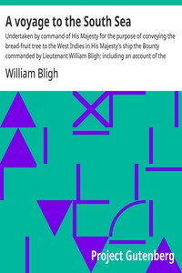 A voyage to the South Sea
