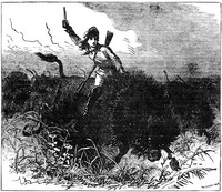 Adventures of Buffalo Bill from boyhood to manhood