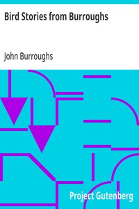 Bird Stories from Burroughs Sketches of Bird Life Taken from the Works of John Burroughs