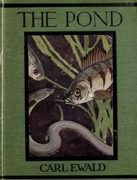 The Pond