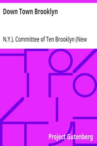 Down Town Brooklyn  A Report to the Comptroller of the City of New York on Sites for Public Buildings and the Relocation of the Elevated Railroad Tracks now in Lower Fulton Street, Borough of Brooklyn