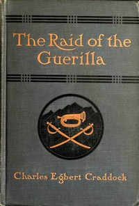 The raid of the guerilla, and other stories