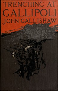 Trenching at Gallipoli  The personal narrative of a Newfoundlander with the ill-fated Dardanelles expedition