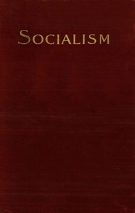 Socialism and the Social Movement in the 19th Century