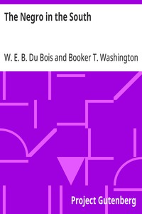 The Negro in the South His Economic Progress in Relation to his Moral and Religious Development