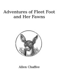 The Adventures of Fleet Foot and Her Fawns  A True-to-Nature Story for Children and Their Elders