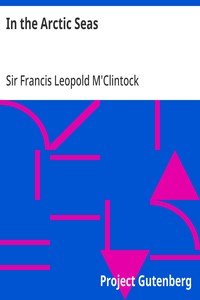 In the Arctic Seas  A Narrative of the Discovery of the Fate of Sir John Franklin and his Companions