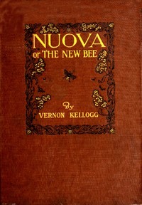 Nuova; or, The New Bee