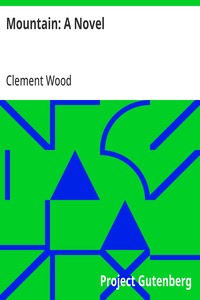 Mountain: A Novel