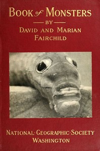 Book of monsters