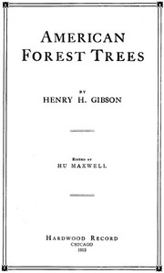 American Forest Trees