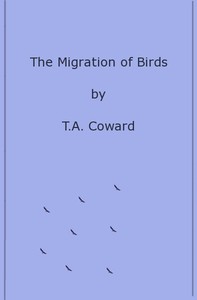 The Migration of Birds