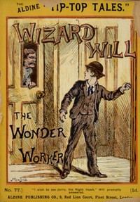 Wizard Will, the wonder worker